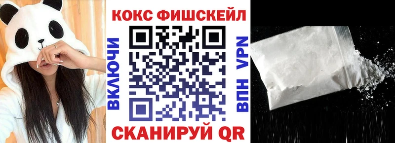 купить наркоту  Электрогорск  COCAIN Fish Scale 