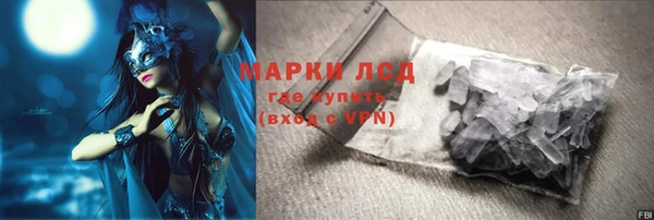 дмт Алзамай