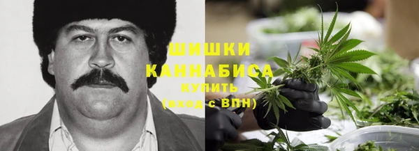 дмт Алзамай