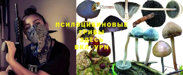 ешки Абинск