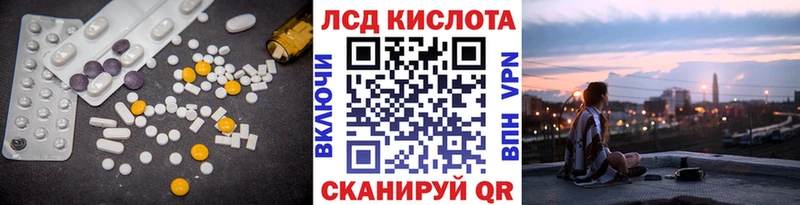 blacksprut ссылки  Электрогорск  Лсд 25 экстази кислота 
