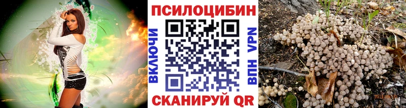 Псилоцибиновые грибы Magic Shrooms  blacksprut как войти  Электрогорск 