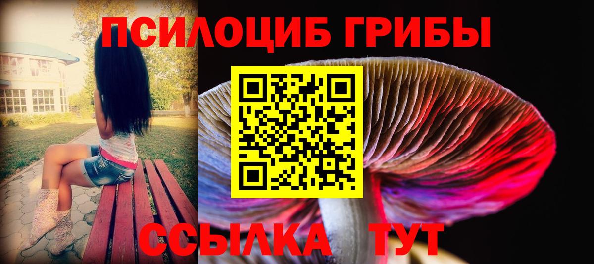 Галлюциногенные грибы Magic Shrooms  Вход с VPN  Электрогорск 