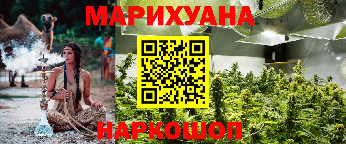 Каннабис Bruce Banner  Марихуана Ganja  Вход с VPN  Электрогорск  Каннабис Amnesia  Марихуана планчик 